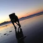 Dog Friendly Stylish Modern Flat, Near Beach