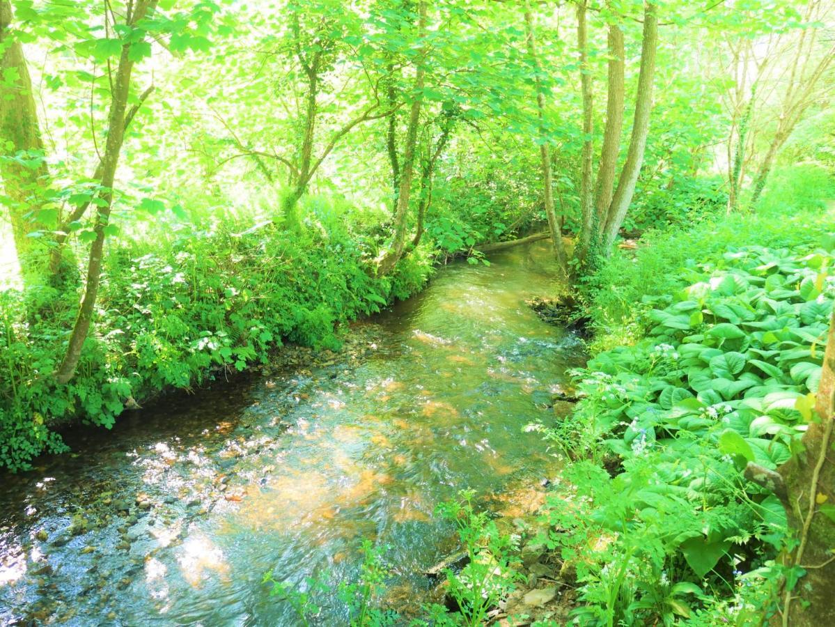 The Wriggly Tin At Tregoose Old Mill * New Quay