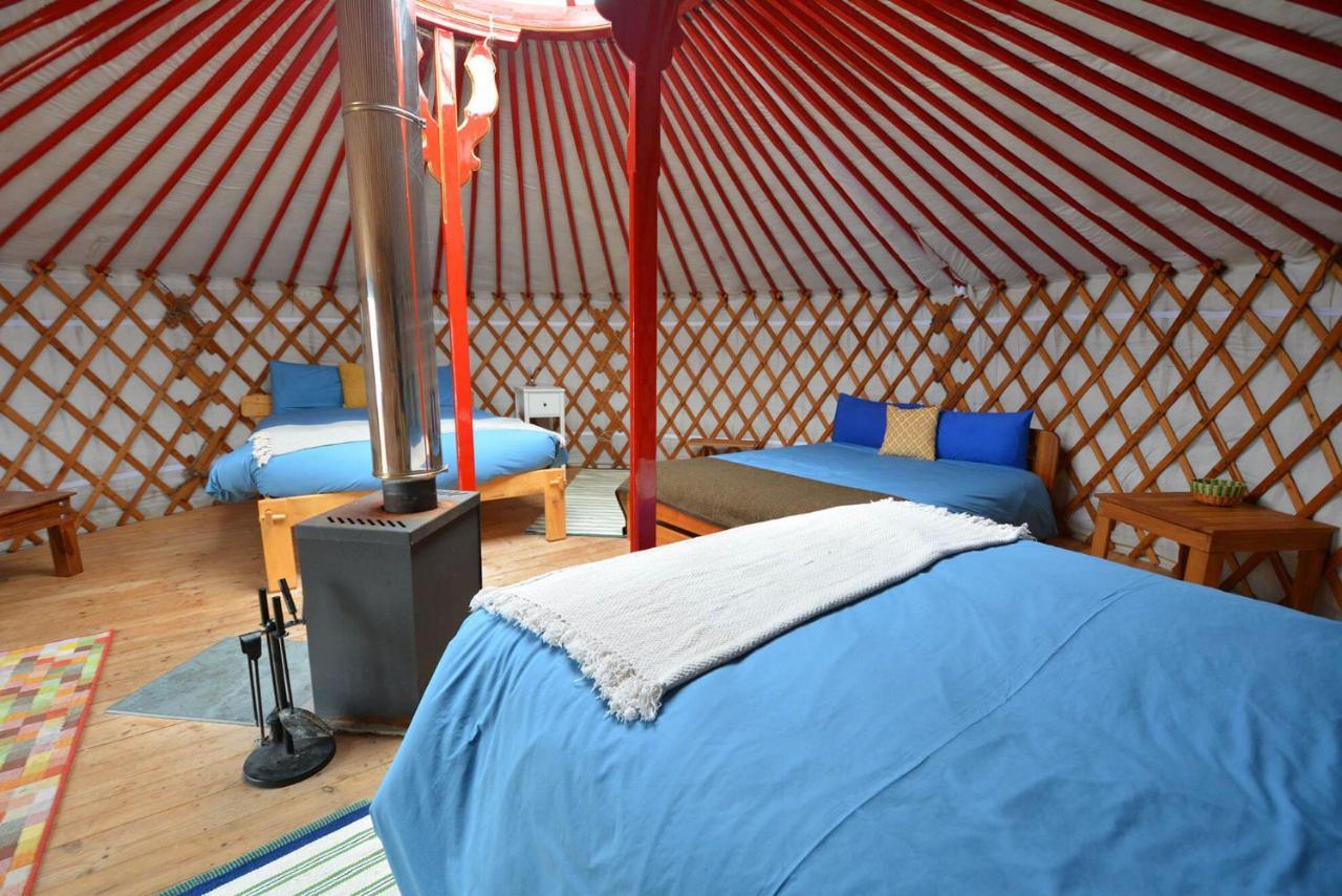 Glamping Yurts Near Newquay New Quay