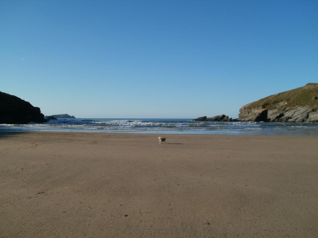 The Croft Guest house 3*