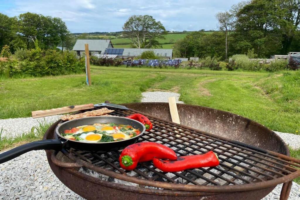 Glamping Yurts Near Newquay New Quay