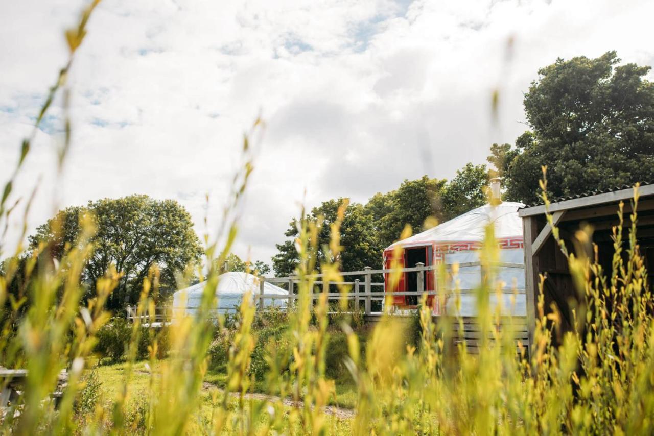 Glamping Yurts Near Newquay Campo de lujo New Quay