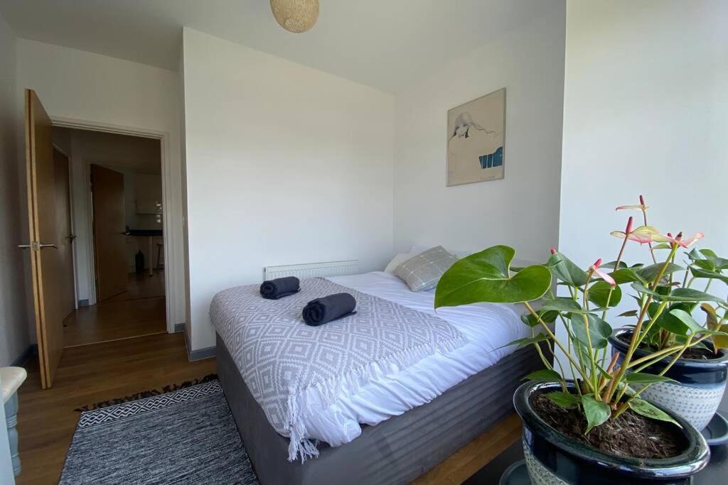 Headland View Apartment Apartment