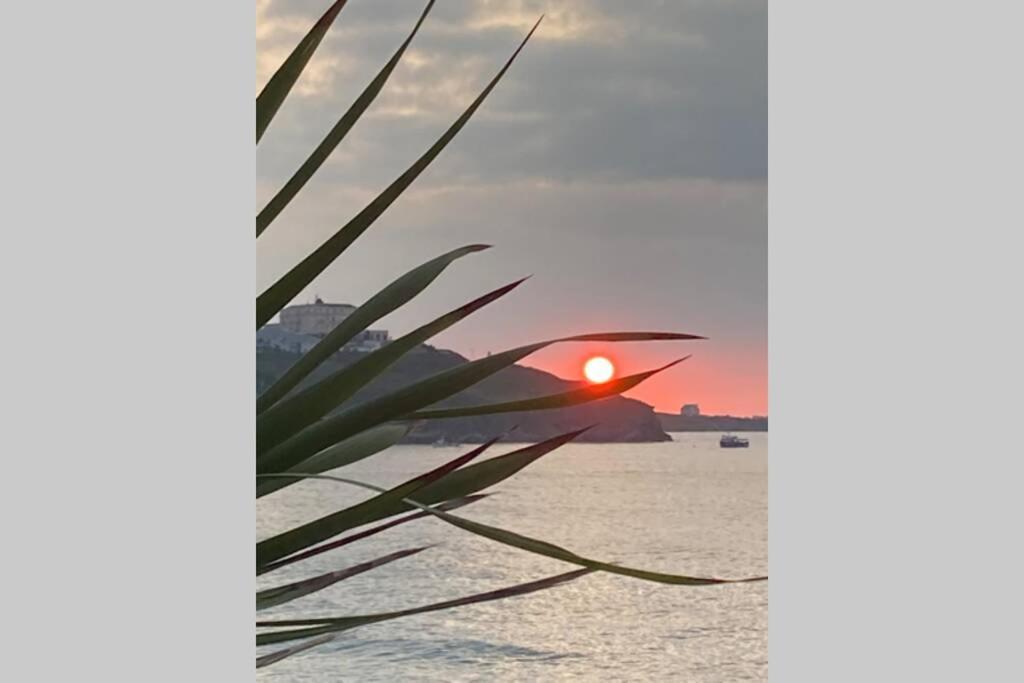 Apartamento Beautiful 3 Bedroom By The Sea