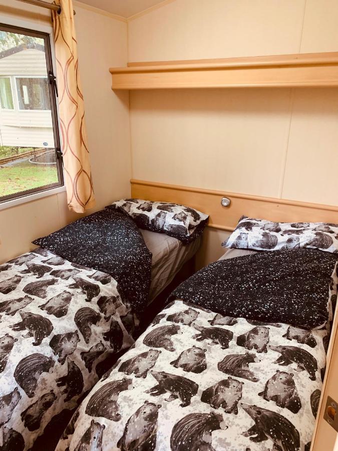 95 Newquay Bay Dog Friendly New Quay