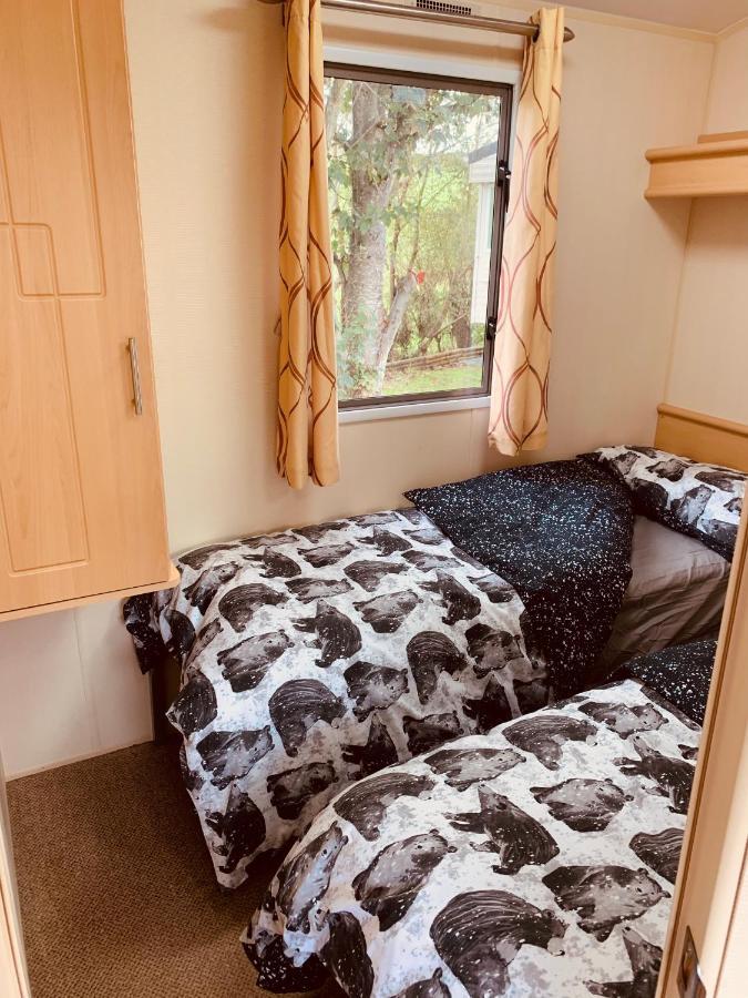 95 Newquay Bay Dog Friendly New Quay