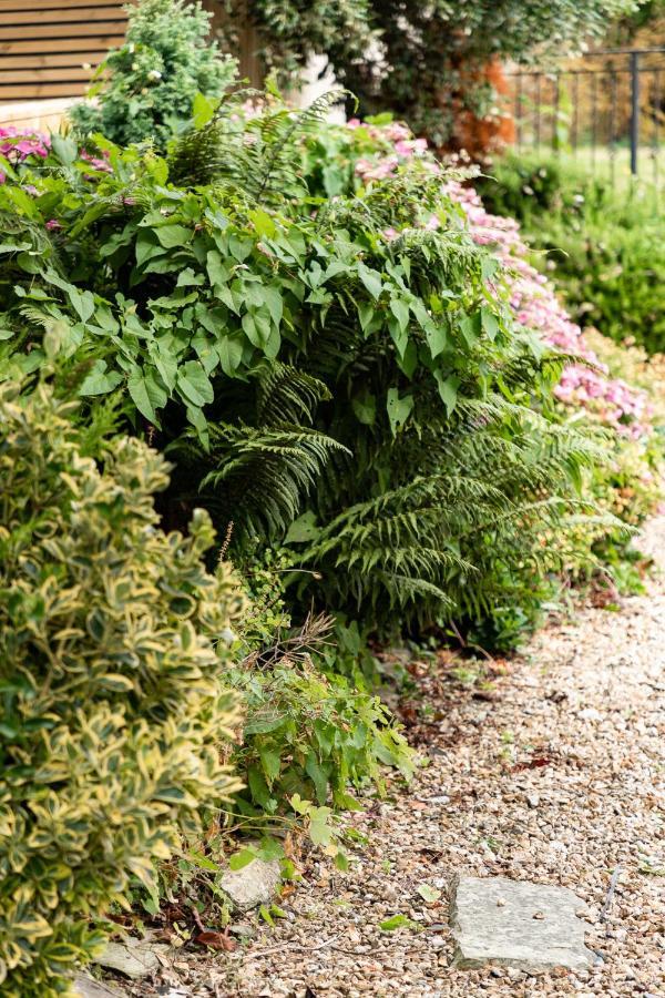 Chatsworth Riverscape: Peaceful Gannel Views Near Newquay Beaches Apartment