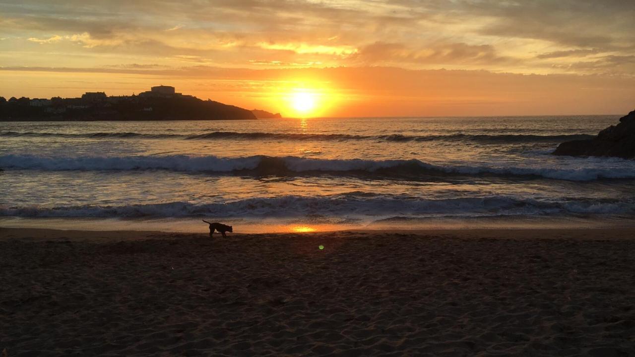Apartment Dog Friendly Stylish Modern Flat, Near Newquay (Cornwall)