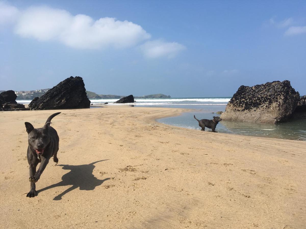 Apartment Dog Friendly Stylish Modern Flat, Near Newquay (Cornwall)