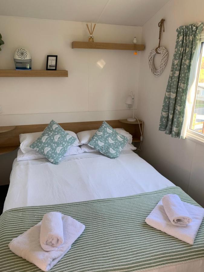 Newquay Bay Apartment