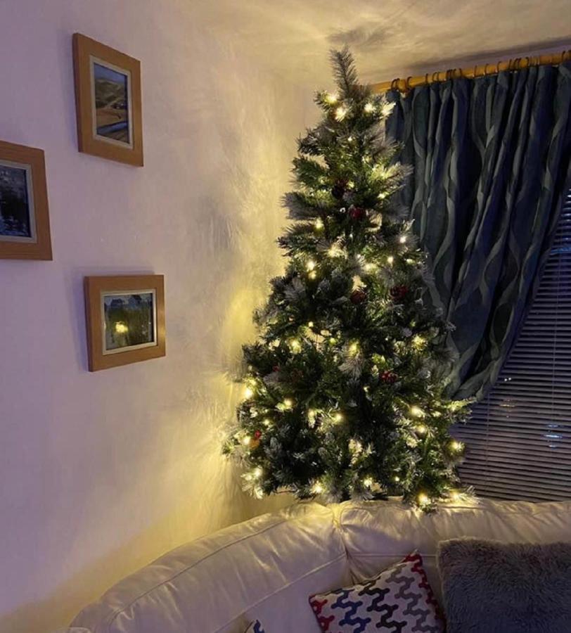 Springer Villa, 2 Bed, Newquay Holiday home