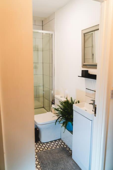 Apartment Spacious 2bd Maisonette With Lush Loft In Newquay *