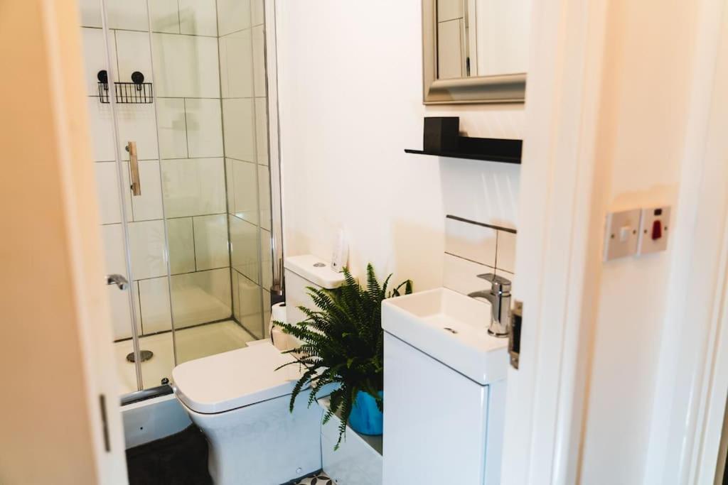 Apartment Spacious 2bd Maisonette With Lush Loft In Newquay *