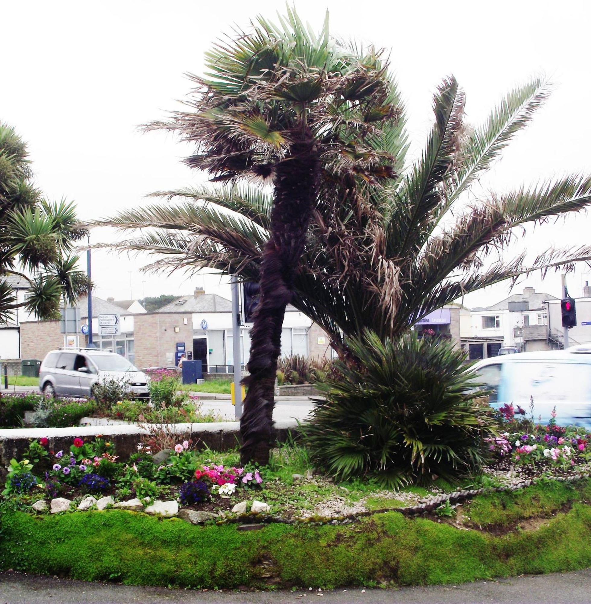 Jasmine House Newquay (Cornwall)