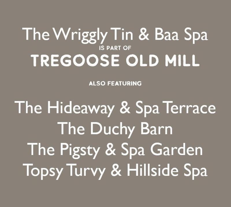 The Wriggly Tin At Tregoose Old Mill Holiday home Newquay (Cornwall)