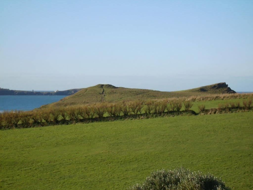 Guest house Porth 4*