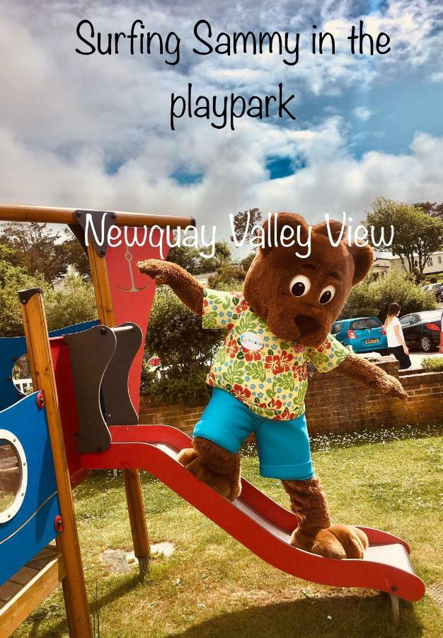 Newquay Valley View 4*