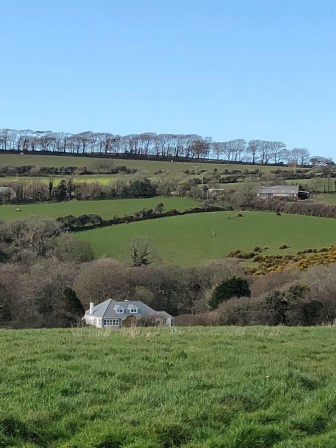 The Annexe, Tregoose House *
