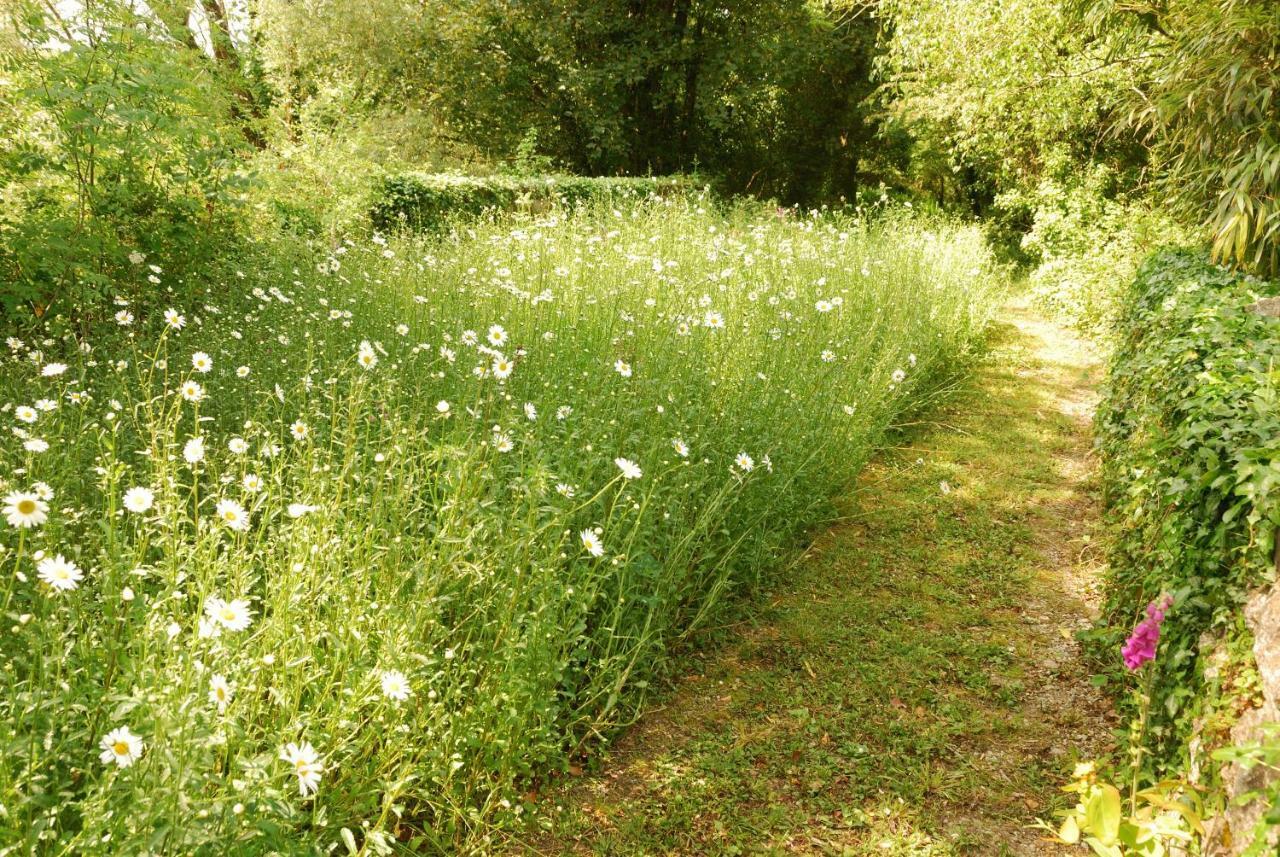 Granary At Trewerry - Away From It All, Close To Everywhere * Newquay (Cornwall)