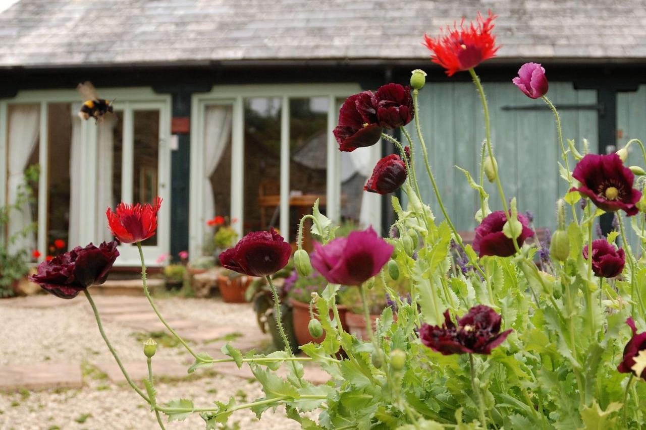 Holiday home Bowgie At Trewerry - Away From It All, Close To Everywhere Newquay (Cornwall)