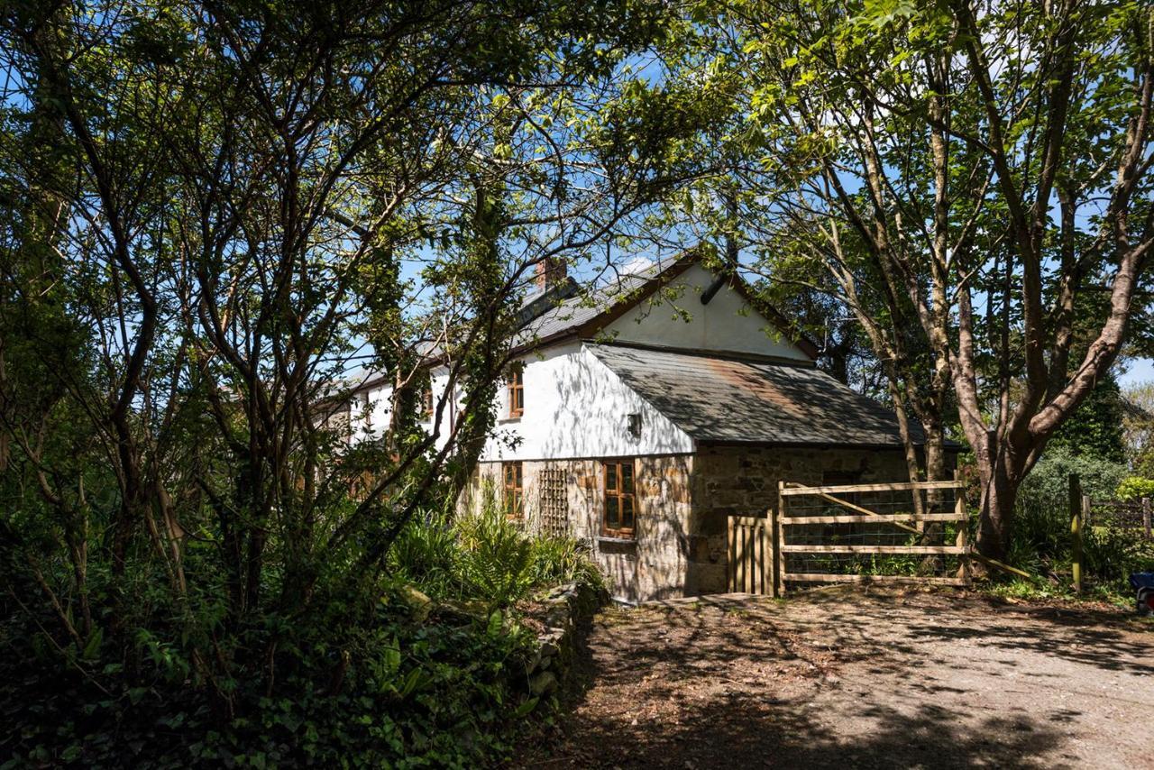 Trewolla Coattage * Newquay (Cornwall)